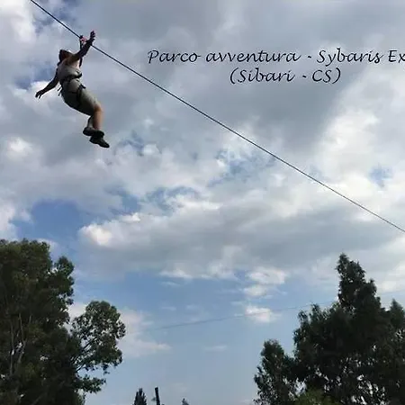 Il Quadrifoglio