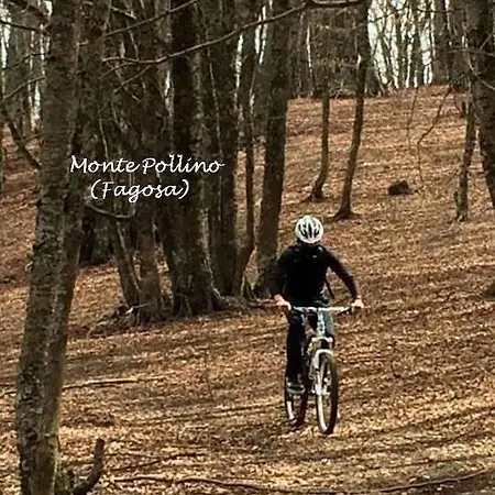 Il Quadrifoglio 게스트하우스