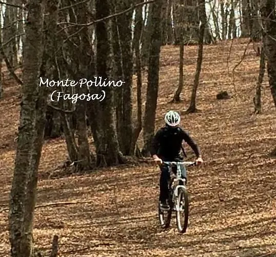 Il Quadrifoglio Casa de hóspedes